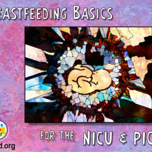Breastfeeding Basics for the NICU and PICU Healthcare Professionals - eCourse
